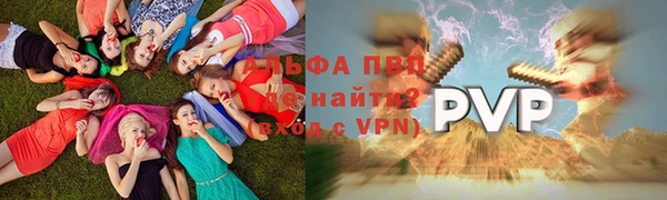 дмт Нефтекумск