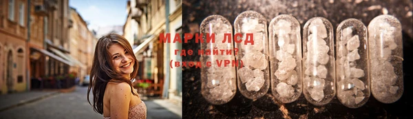прущие крисы Новодвинск