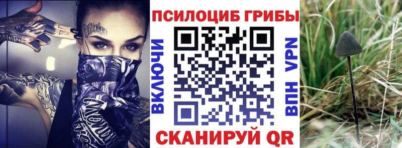 Галлюциногенные грибы мухоморы  Купить закладки  Рудня 