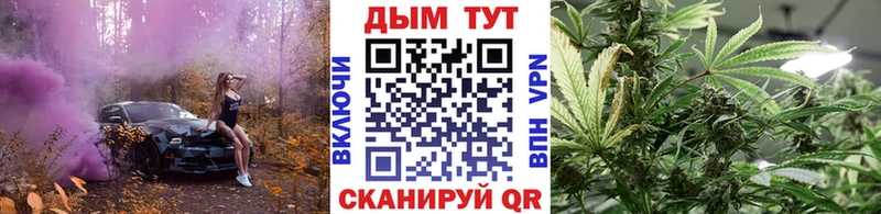 Купить закладки  Рудня  Бошки марихуана семена 